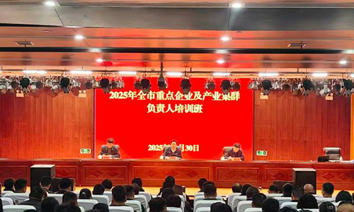2025年阜阳全市重点企业及产业集群负责人培训班顺利举办