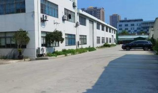洞泾镇
