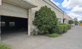 崧泽大道/崧华路(路口)